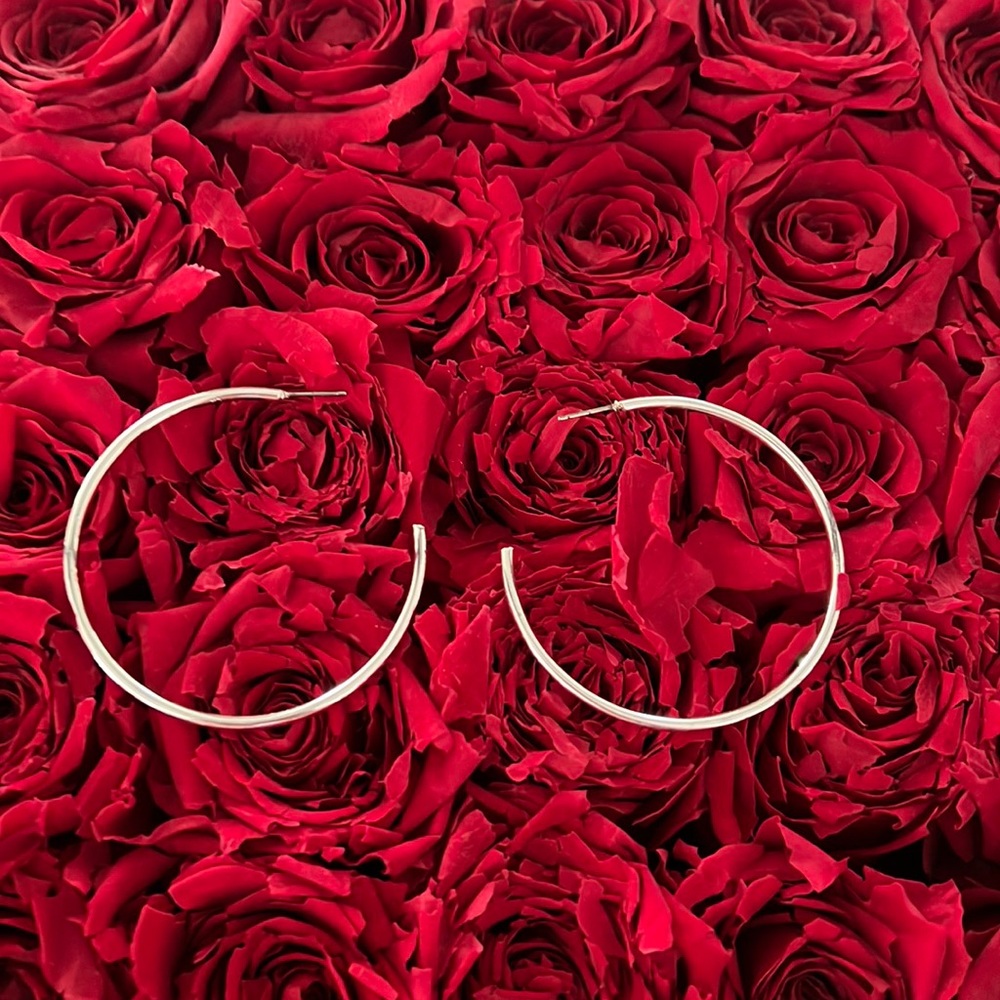 Anthropologie silver hoops